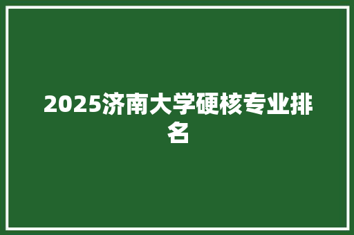 2025济南大学硬核专业排名