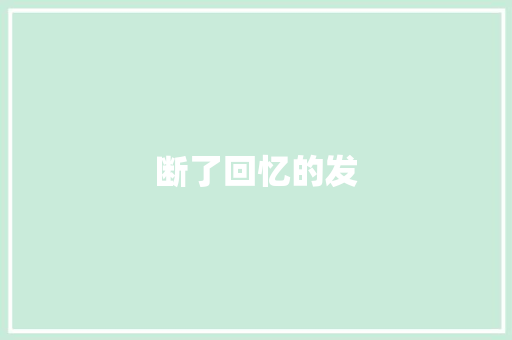 断了回忆的发 工作报告