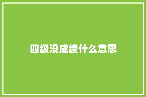 四级没成绩什么意思