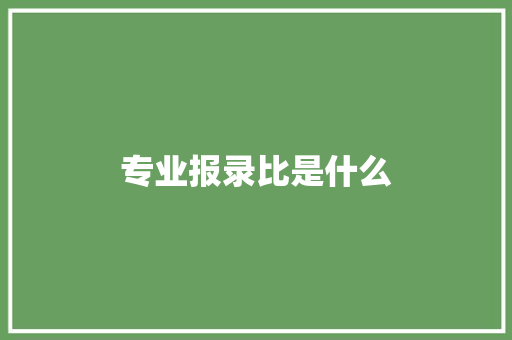 专业报录比是什么