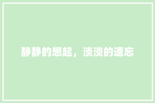 静静的想起，淡淡的遗忘