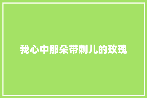 我心中那朵带刺儿的玫瑰 商务演讲