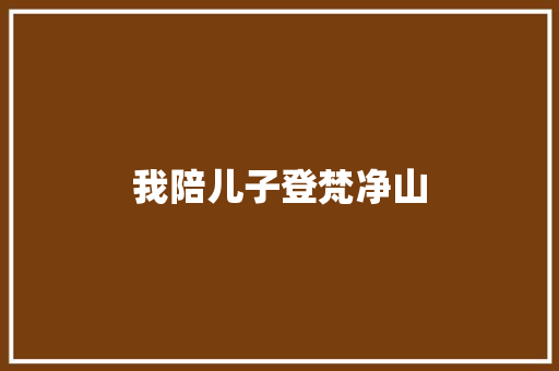 我陪儿子登梵净山