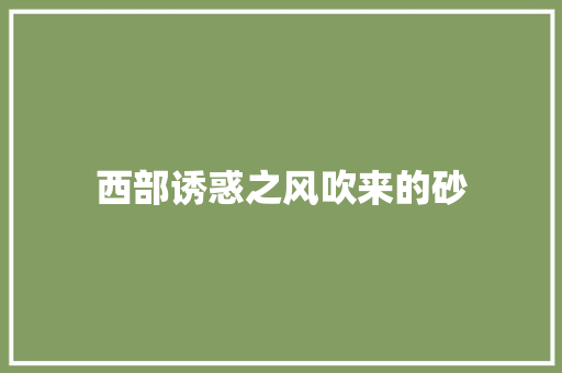 西部诱惑之风吹来的砂 励志演讲