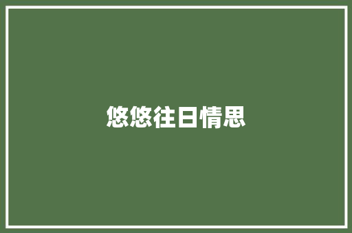 悠悠往日情思 商务演讲