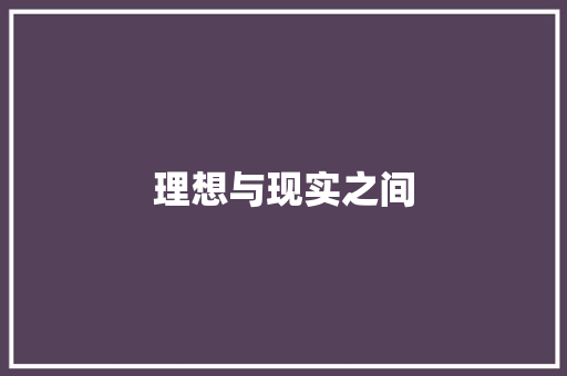 理想与现实之间 工作报告