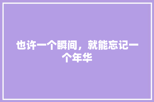 也许一个瞬间，就能忘记一个年华