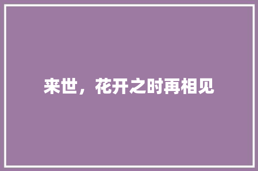 来世，花开之时再相见 工作总结